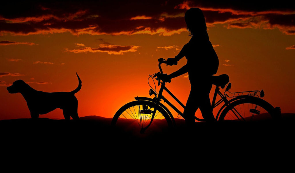 Na rowerze z psem